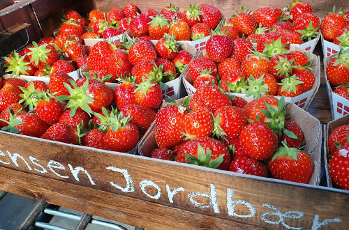 500x330_Jordbær