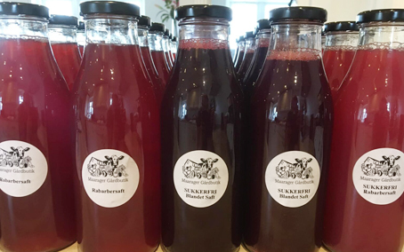 køer på engen i morgenlys og tåge