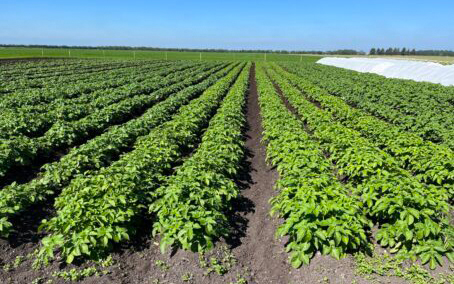 Gårdbutikken Kærholm