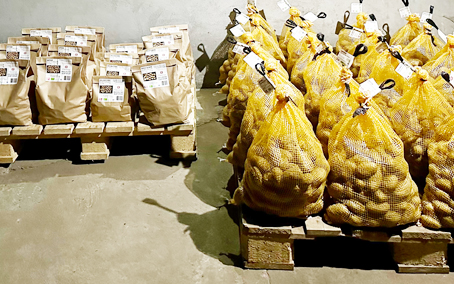 økologisk æble fra økogården baksminde